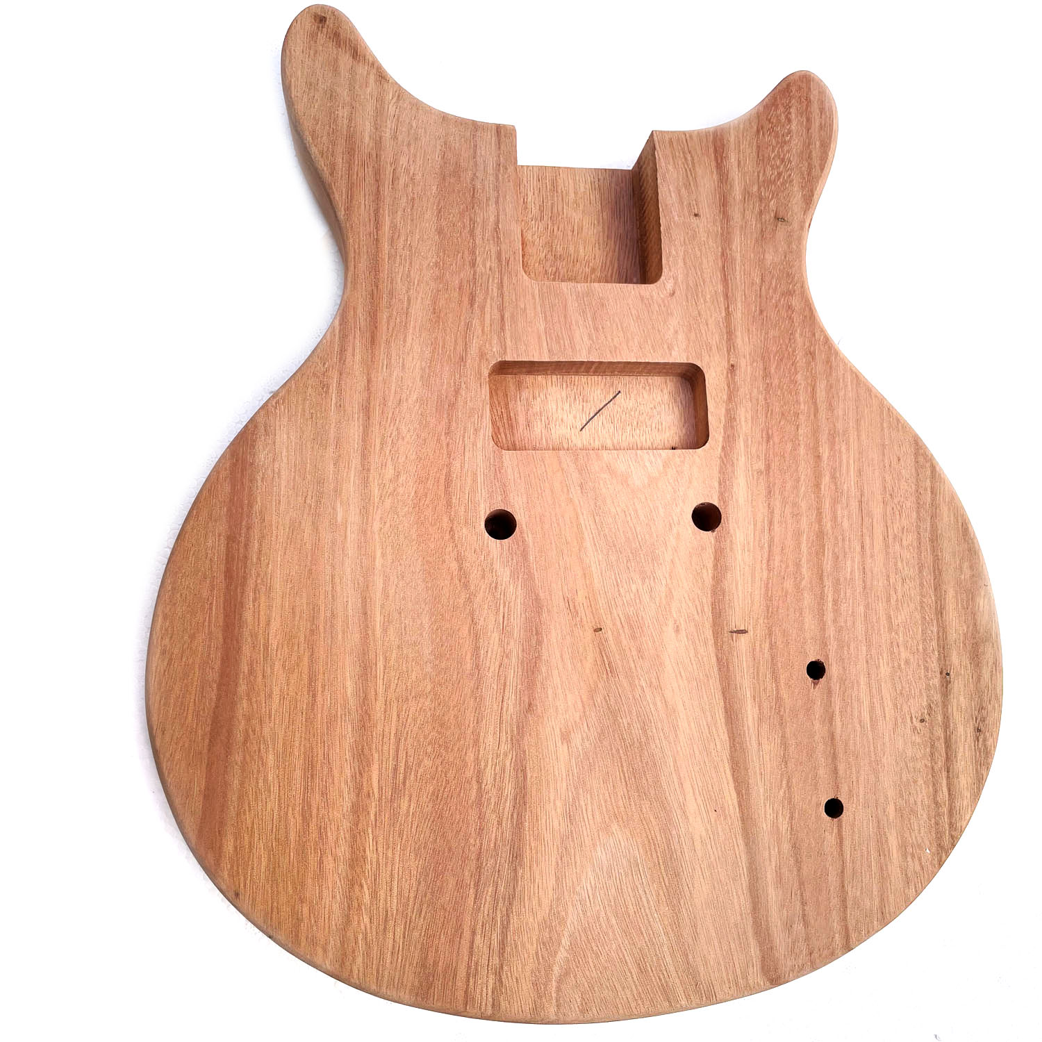 Project Electric Guitar Builder Kit Made By Cnc Batking