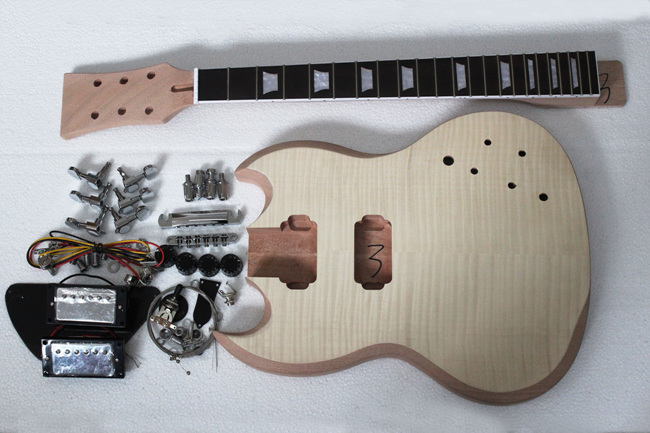 PROJECT ELECTRIC GUITAR BUILDER KIT DIY