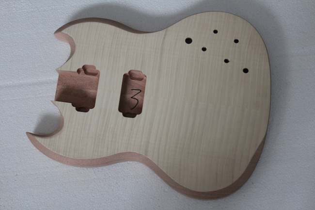 PROJECT ELECTRIC GUITAR BUILDER KIT DIY